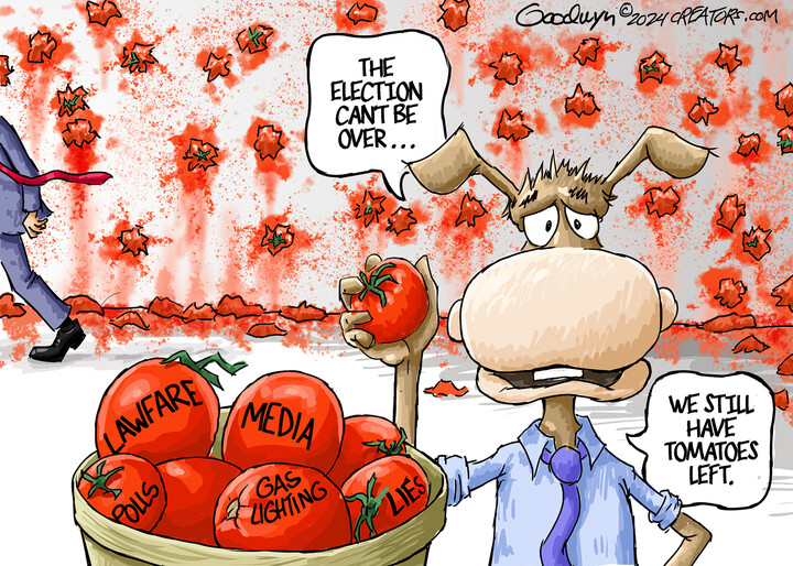 Al Goodwyn for Nov 08, 2024