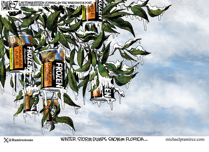 Michael Ramirez for Jan 25, 2025