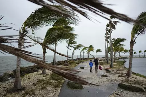 Bob Givehchi, right, and his son Daniel, 8, Toronto residents visiting Miami for the first time, walk past debris and palm trees blowing in gusty winds, at Matheson Hammock Park in Coral Gables, Fla., Dec. 15, 2023. Nearly all the experts think 2024 will be one of the busiest Atlantic hurricane seasons on record. (AP Photo/Rebecca Blackwell, File)