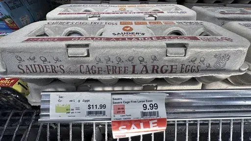 Egg cartons for sale are displayed at a grocery store, Friday, Feb. 7, 2025 in Grosse Pointe, Mich. (AP Photo/Paul Sancya, File)