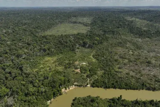 A river borders an area that has been illegally deforested by land-grabbers and cattle farmers in an extractive reserve in Jaci-Parana, Rondonia state, Brazil, July 11, 2023. (AP Photo/Andre Penner, File)