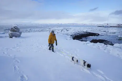 A woman walks with her dogs on a beach in Nuuk, Greenland, Tuesday, March 4, 2025. (AP Photo/Evgeniy Maloletka)