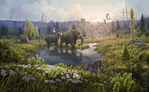 This illustration provided by researchers depicts Kap Kobenhavn, Greenland, two million years ago, when the temperature was significantly warmer than northernmost Greenland today. Scientists have analyzed 2-million-year-old DNA extracted from dirt samples in the area, revealing an ancient ecosystem unlike anything seen on Earth today, including traces of mastodons and horseshoe crabs roaming the Arctic. (Beth Zaiken via AP)