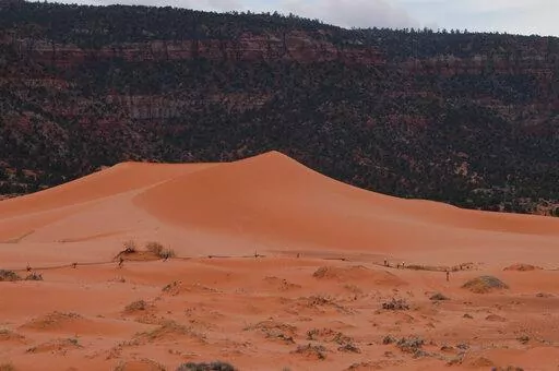 This 2018 file photo shows  Coral Pink Sand Dunes state park near Kanab, Utah.  A teenager visiting southern Utah's State Park died on Sunday, May 15, 2022, after he was entrapped beneath a sand dune that had collapsed on him a day prior. Ian Spendlove, a 13 year old from the St. George suburbs, was pronounced dead on Sunday after not regaining brain activity lost in the incident, the Utah State Parks Department said Monday. (The Salt Lake Tribune via AP)