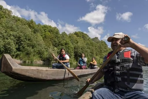 Yurok tribal members lead a redwood canoe tour on the lower Klamath River on Tuesday, June 8, 2021, in Klamath, Calif. As the salmon of the Klamath have dwindled the Yurok tribe has turned to alternative revenue like eco tourism and canoe tours in an effort to support their people. The Yurok Tribe, which lost 90 percent of its ancestral land during the Gold Rush in the mid-19th century, is getting back a slice of its territory under an agreement signed Tuesday, March 19, 2024, with California an