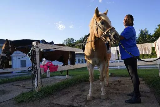 Dionne Williamson, of Patuxent River, Md., grooms Woody before her riding lesson at Cloverleaf Equine Center in Clifton, Va., Tuesday, Sept. 13, 2022. After finishing a tour in Afghanistan in 2013, Williamson felt emotionally numb. As the Pentagon seeks to confront spiraling suicide rates in the military ranks, Williamson’s experiences shine a light on the realities for service members seeking mental health help.  (AP Photo/Susan Walsh)
