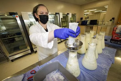 Rebecca Heinrich, director of the Mothers' Milk Bank, loads frozen milk donated by lactating mothers from plastic bags into bottles for distribution to babies Friday, May 13, 2022, at the foundation's headquarters in Arvada, Colo. (AP Photo/David Zalubowski)