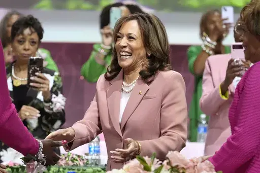 Vice President Kamala Harris speaks at the Alpha Kappa Alpha Sorority Inc. annual convention during the 71st biennial Boule at the Kay Bailey Hutchison Convention Center in Dallas, Wednesday, July 10, 2024. The #WinWithBlackWomen network says more than 40,000 Black women joined a Zoom call to support Harris on Sunday, July 21, hours after Biden ended his reelection campaign and endorsed Harris, and that the meeting was streamed to another 50,000 via other platforms. (AP Photo/LM Otero, File)