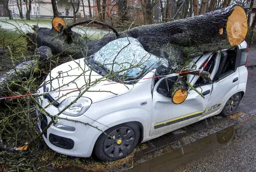 A car is destroyed by a fallen tree after a storm in Schwerin, Germany, Monday, Feb. 21, 2022. A series of storms have hit northern Europe in recent days.( Jens Buettner/dpa via AP)