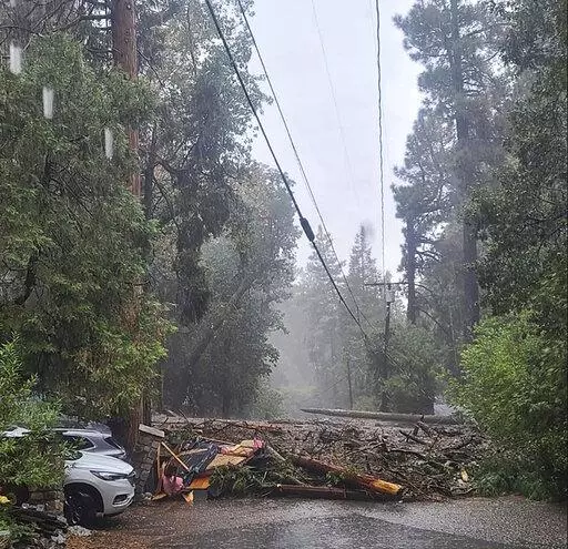 In this photo released by the San Bernardino County Fire Department, a fallen tree and other debris blocks a road in Forest Falls after a mudslide in San Bernardino County, Calif., on Monday, Sept. 12, 2022.  (San Bernardino County Fire Department via AP)