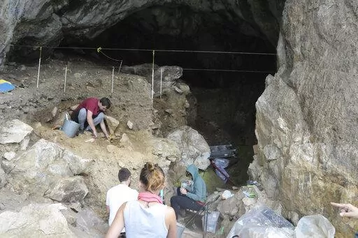 In this photo provided by Bence Viola in October 2022, researchers excavate a cave in the mountains of Siberia, Russia. In a study published Wednesday, Oct. 19, 2022, in the journal Nature, researchers were able to pull DNA out of tiny bone fragments found in two Russian caves, and used the genetic data to map out relationships between 13 different Neanderthals for clues to how they lived. (Bence Viola via AP)