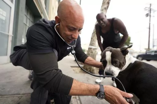 Dr. Kwane Stewart checks a dog's health in the Skid Row area of Los Angeles on Wednesday, June 7, 2023. “The Street Vet,” as Stewart is known, has been supporting California's homeless population and their pets for almost a decade, ever since he helped a man with a flea-infested dog outside of a convenience store. (AP Photo/Damian Dovarganes)