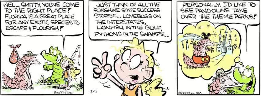 Shrimp and Grits for Feb 11, 2025