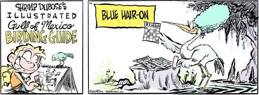 Shrimp and Grits for Jul 06, 2023