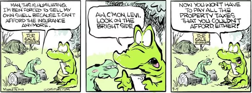 Shrimp and Grits for Sep 05, 2023