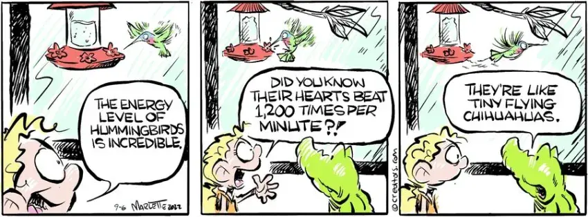 Shrimp and Grits for Sep 06, 2024