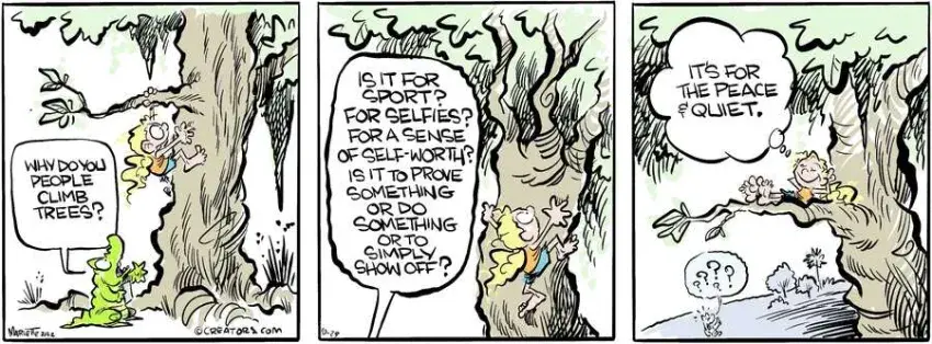 Shrimp and Grits for Oct 29, 2024